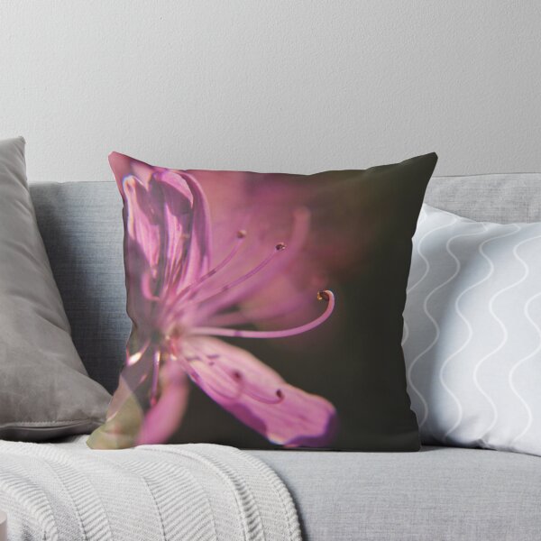 Item preview, Rhodora (Rhododendron canadense) designed and sold by Kathleen Daley.
