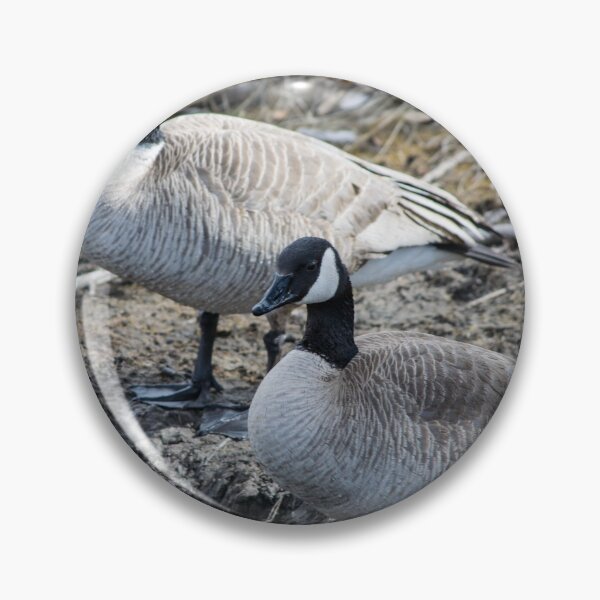 Item preview, Canada Geese  designed and sold by CanadianWild418.