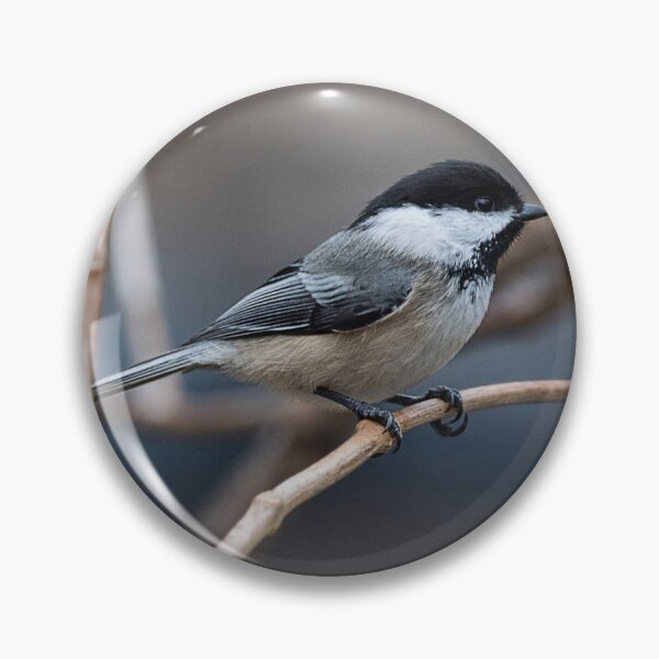 Item preview, Chickadee designed and sold by Roger Porter Photography.