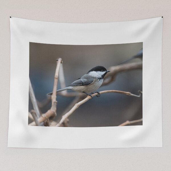 Item preview, Chickadee designed and sold by Roger Porter Photography.