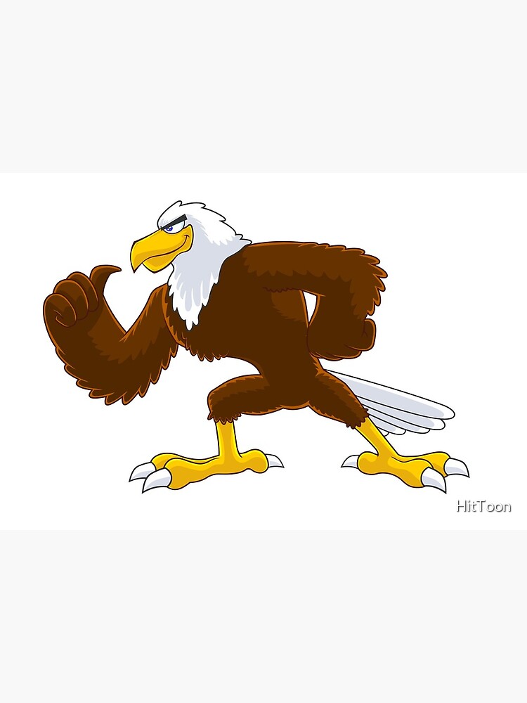Eagle Hero Bird Cartoon Character Eagle Hero Bird Cartoon Character