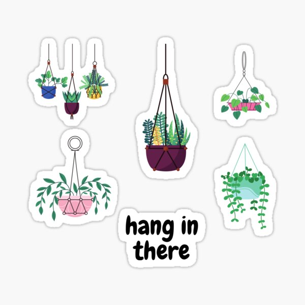 Illustrated Hanging Plant Laptop Stickers Set of 5 Succulent