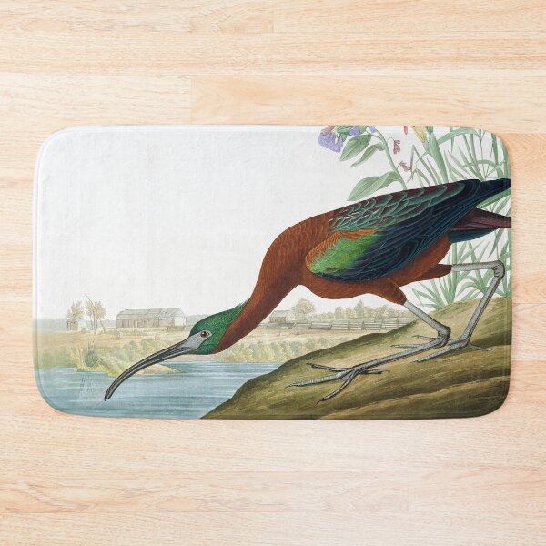 Item preview, Scarlet Ibis by John James Audubon designed and sold by TheCurators.