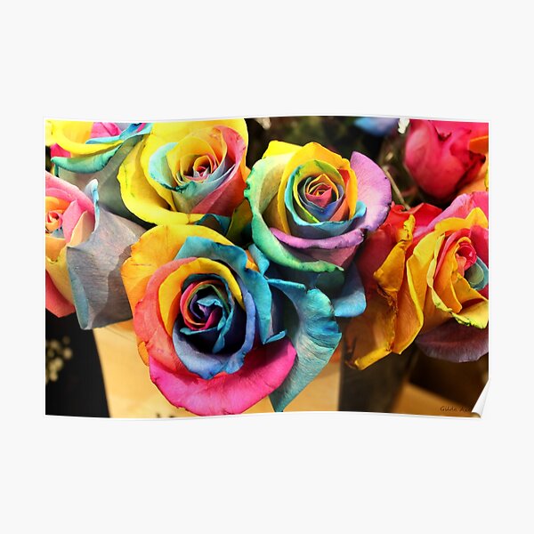 Colorful Bouquet of Rainbow Roses Poster