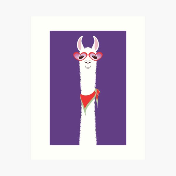 LUNETTES DE SOLEIL ET ÉCHARPE LAMA Impression artistique
