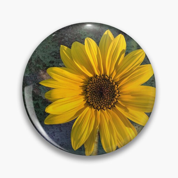 Item preview, Sunflower texture designed and sold by Roger Porter Photography.
