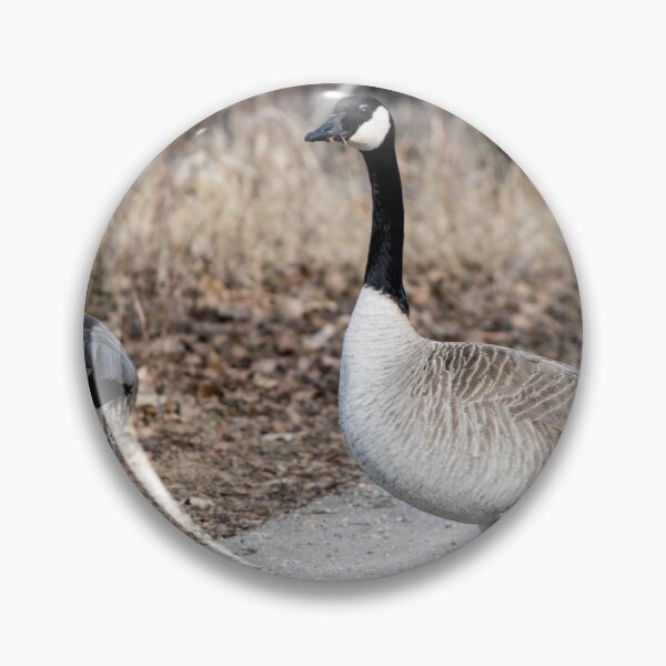 Item preview, Mating season has arrived. designed and sold by CanadianWild418.