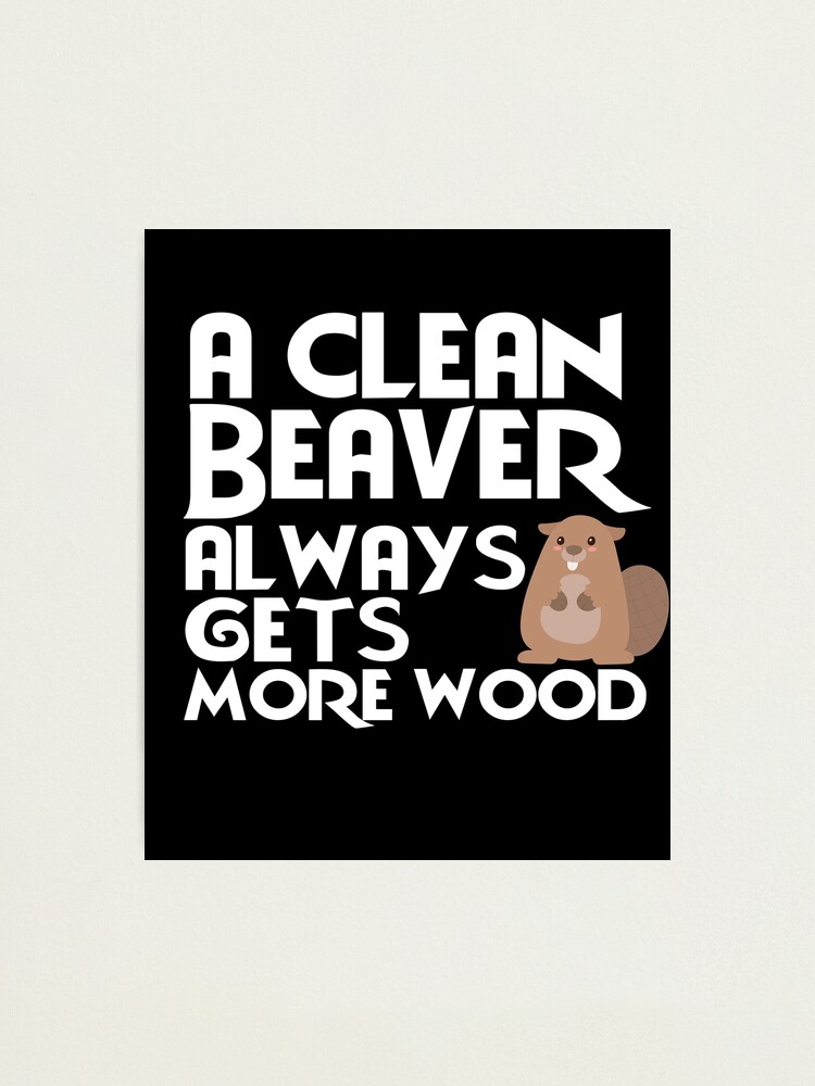  Vintage Check Out My Beaver Adult Novelty Pun