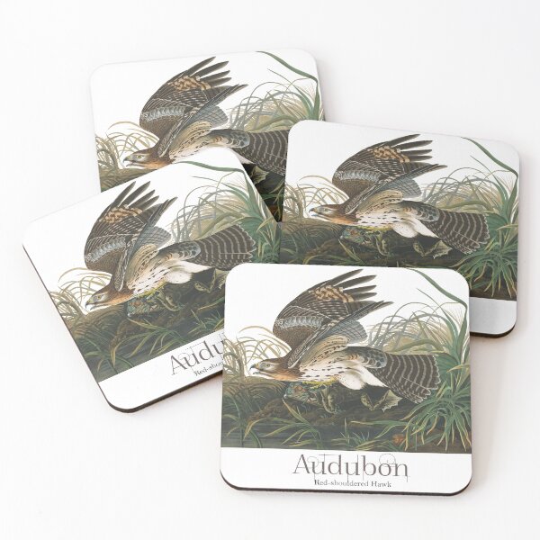 Item preview, John James Audubon - WInter (red-shouldered) Hawk designed and sold by TheCurators.