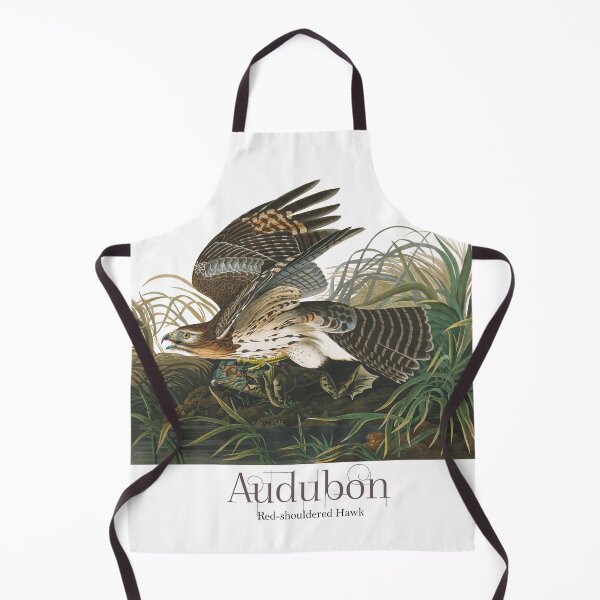 Item preview, John James Audubon - WInter (red-shouldered) Hawk designed and sold by TheCurators.