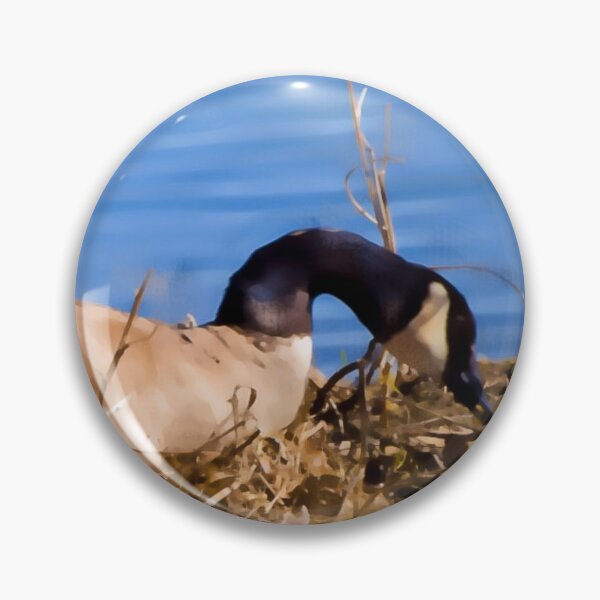 Item preview, Nesting. designed and sold by CanadianWild418.