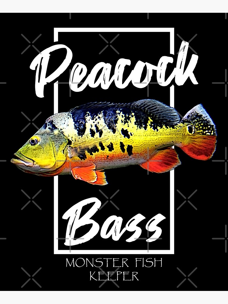 Peacock Bass Monster Fish Keeper Poster for Sale by JRRTs