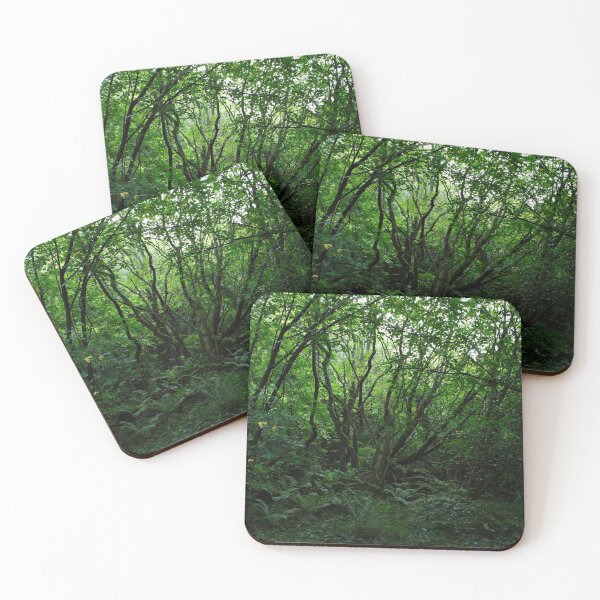 Item preview, Old Growth Forest designed and sold by BritishYank.