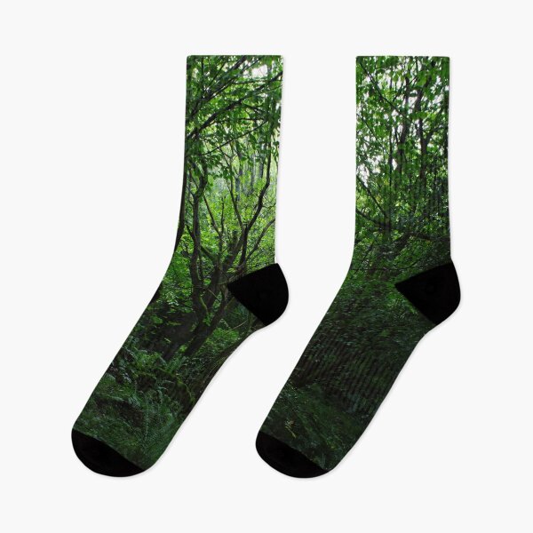 Item preview, Old Growth Forest designed and sold by BritishYank.