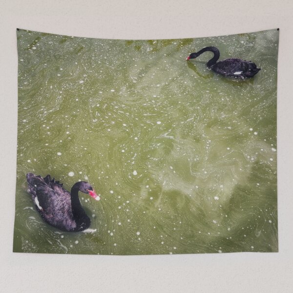 Item preview, Two ducks in a pond designed and sold by To-the-T.