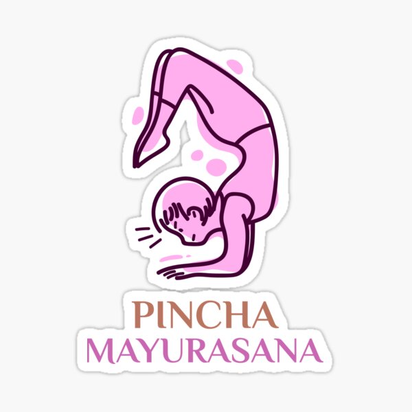 Pincha Pose Merch & Gifts for Sale