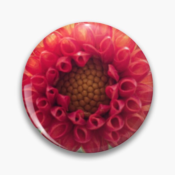 Item preview, Red Symphony Dahlia Flower Boom Boom Red Water Lily Yellow Fibonacci Spiral Disc Floret 074 designed and sold by Bees-n-Flowers.