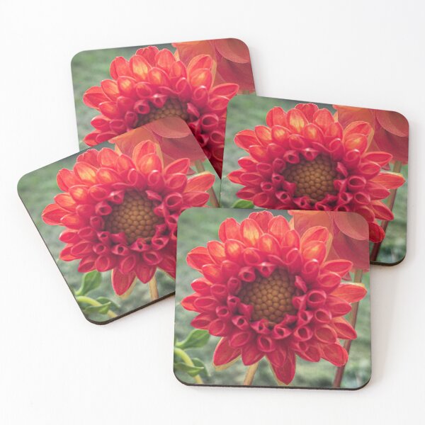Item preview, Red Symphony Dahlia Flower Boom Boom Red Water Lily Yellow Fibonacci Spiral Disc Floret 074 designed and sold by Bees-n-Flowers.