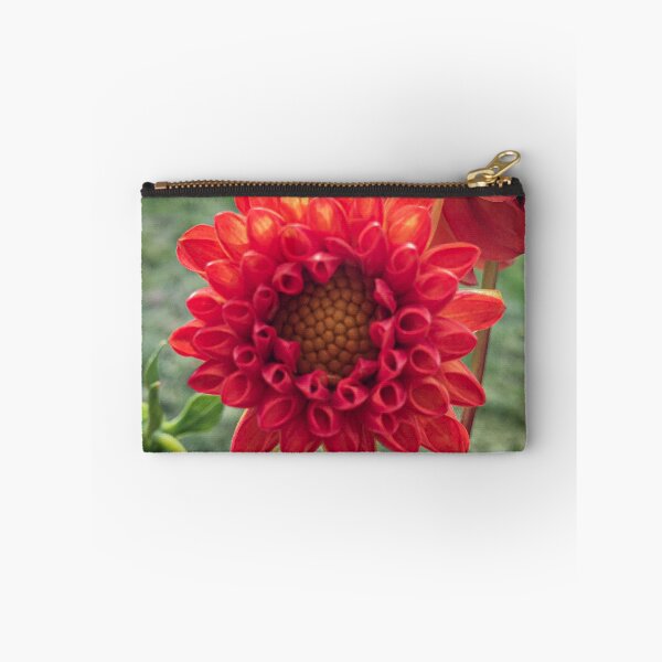 Item preview, Red Symphony Dahlia Flower Boom Boom Red Water Lily Yellow Fibonacci Spiral Disc Floret 074 designed and sold by Bees-n-Flowers.