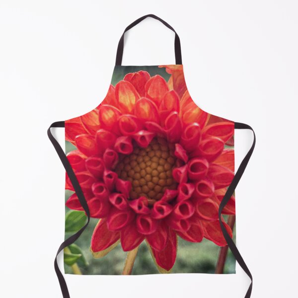 Item preview, Red Symphony Dahlia Flower Boom Boom Red Water Lily Yellow Fibonacci Spiral Disc Floret 074 designed and sold by Bees-n-Flowers.