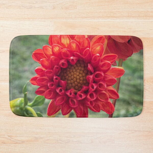 Item preview, Red Symphony Dahlia Flower Boom Boom Red Water Lily Yellow Fibonacci Spiral Disc Floret 074 designed and sold by Bees-n-Flowers.