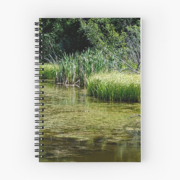 Item preview, Bulrush pond. designed and sold by CanadianWild418.