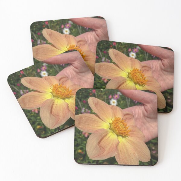 Item preview, Orangey Pink blending to Bright Yellow Single Dahlia Flowers with Yellow Fibonacci Spiral Disc Floret 075 designed and sold by Bees-n-Flowers.