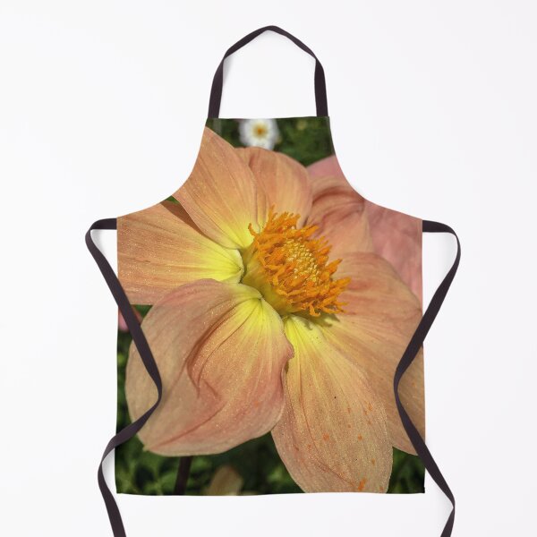 Artikelvorschau, Orange-rosa Mischung zu leuchtend gelben einzelnen Dahlienblüten mit gelber Fibonacci-Spiralscheibe Floret 075 entworfen und verkauft von Bees-n-Flowers.