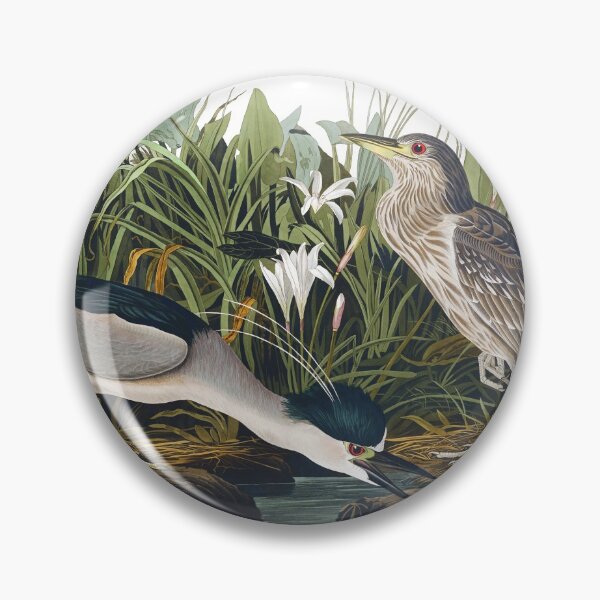 Item preview, John James Audubon - Black-crowned Night Heron designed and sold by TheCurators.