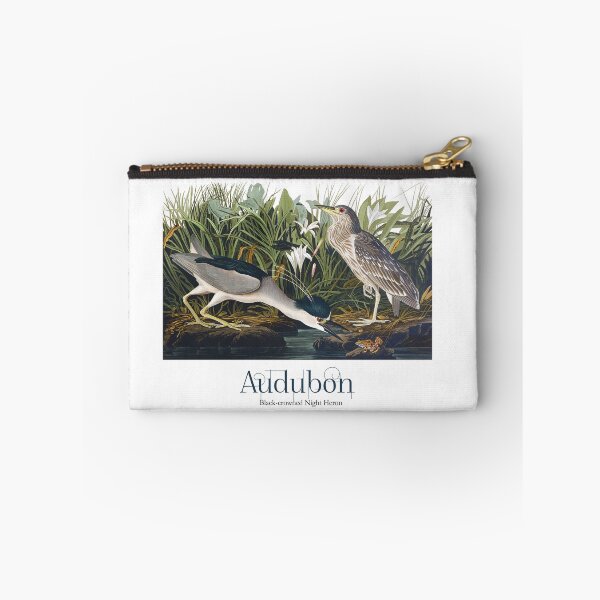 Item preview, John James Audubon - Black-crowned Night Heron designed and sold by TheCurators.