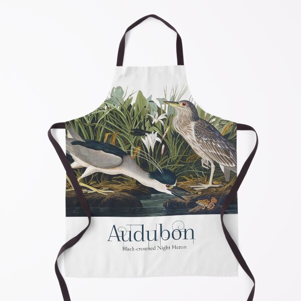 Item preview, John James Audubon - Black-crowned Night Heron designed and sold by TheCurators.