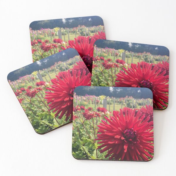 Item preview, Crimson Red Cactus Dahlia Flowers Double Blooms 077 designed and sold by Bees-n-Flowers.