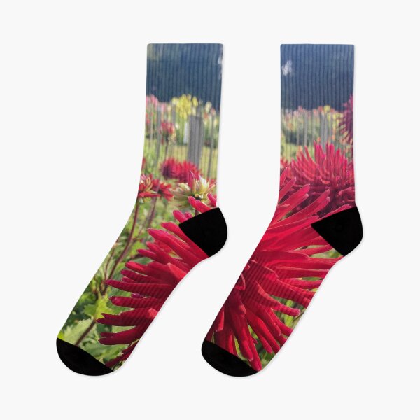 Item preview, Crimson Red Cactus Dahlia Flowers Double Blooms 077 designed and sold by Bees-n-Flowers.