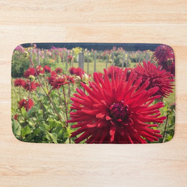 Item preview, Crimson Red Cactus Dahlia Flowers Double Blooms 077 designed and sold by Bees-n-Flowers.