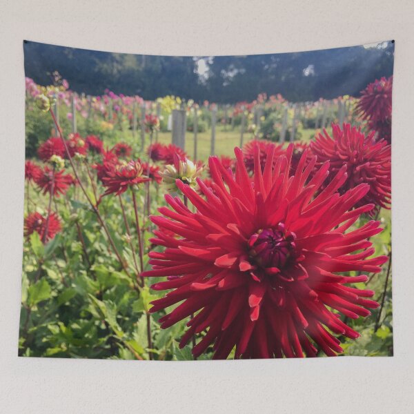 Item preview, Crimson Red Cactus Dahlia Flowers Double Blooms 077 designed and sold by Bees-n-Flowers.