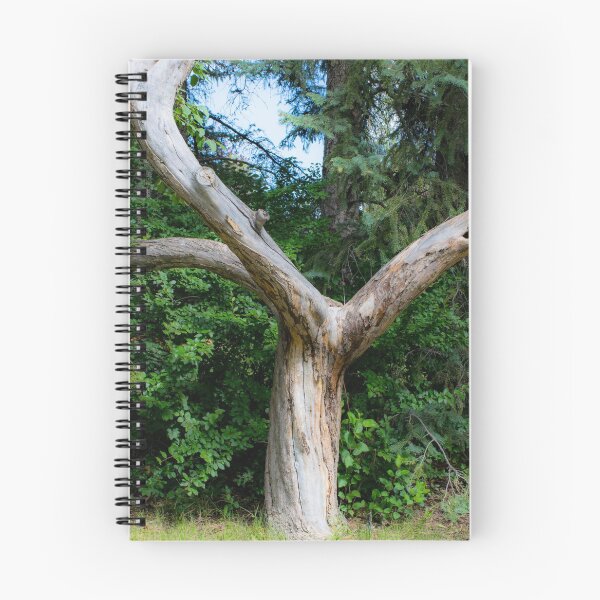 Item preview, Acrobatic Dead Bur Oak designed and sold by CanadianWild418.