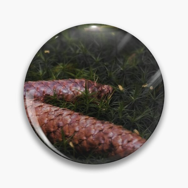 Item preview, Pine cones on the forest floor designed and sold by ToniStauche.