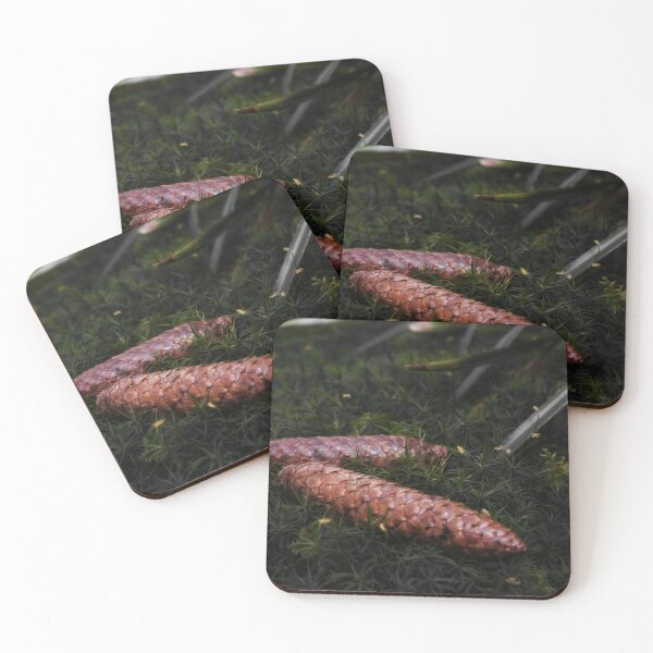 Item preview, Pine cones on the forest floor designed and sold by ToniStauche.