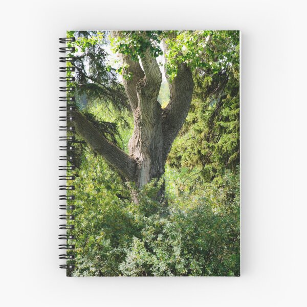Item preview, Bur Oak designed and sold by CanadianWild418.