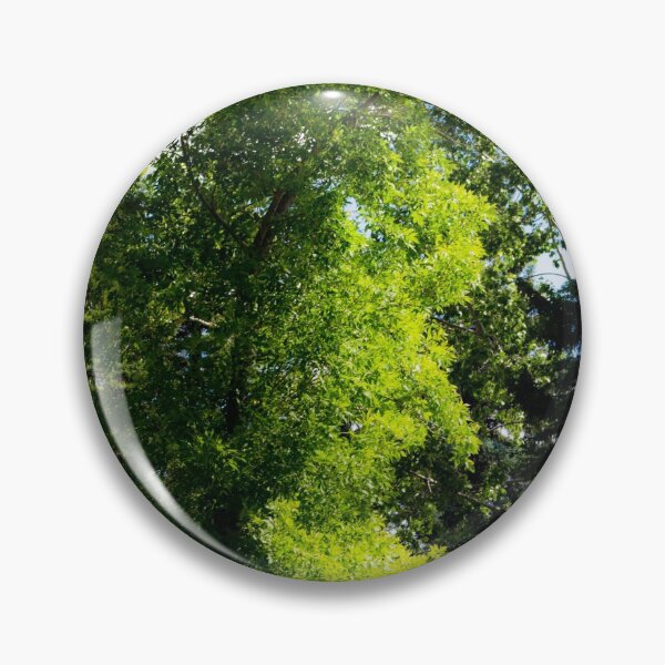 Item preview, Tree bowing to the sun. designed and sold by CanadianWild418.