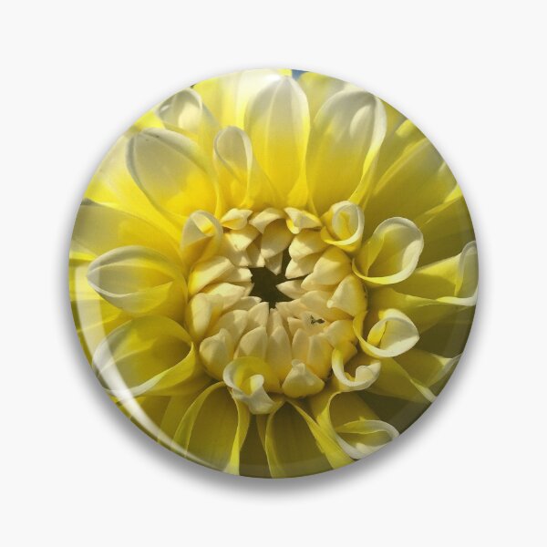 Item preview, Decorative Yellow and White Tips Ball Dahlia Hollyhill Lemon Ice Flower 078Decorative Yellow and White Tips Ball Dahlia Hollyhill Lemon Ice Flower 078   designed and sold by Bees-n-Flowers.
