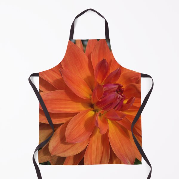 Item preview, Decorative Dahlia 'Fire Pot' Bouquet. Blend of Pink and Orange with a Yellow Centre. Very Floriferous 079 designed and sold by Bees-n-Flowers.