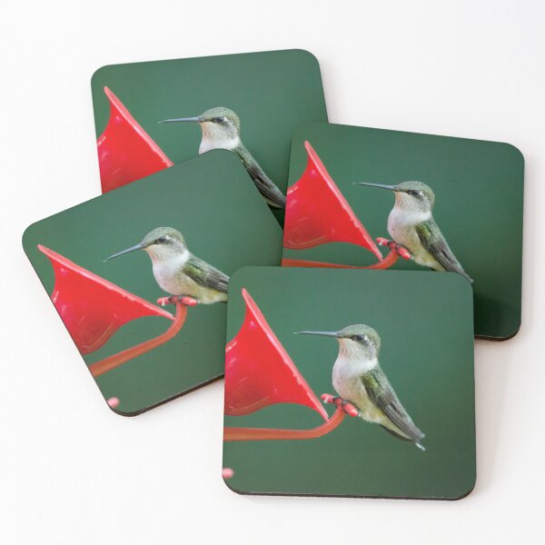Item preview, Hummingbird at a feeder designed and sold by rodmacpherson.