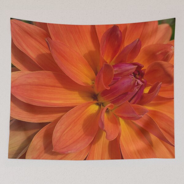 Item preview, Decorative Dahlia 'Fire Pot' Bouquet. Blend of Pink and Orange with a Yellow Centre. Very Floriferous 079 designed and sold by Bees-n-Flowers.