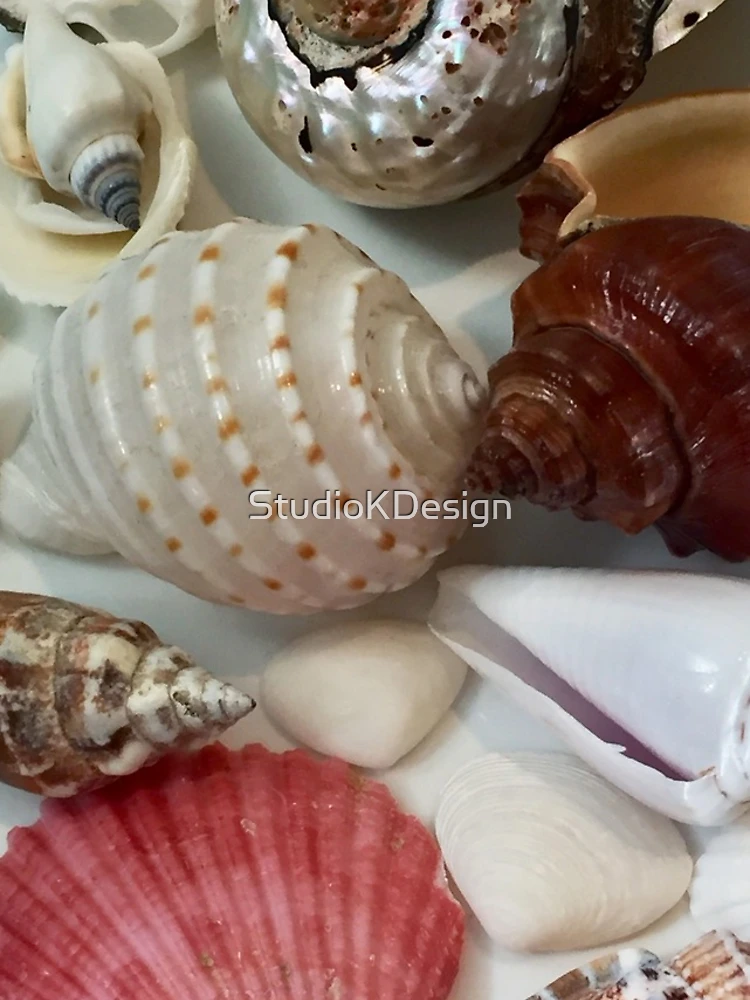 Thumbnail 4 of 4, iPhone Case, Colorful Sea Shell Collection designed and sold by StudioKDesign.
