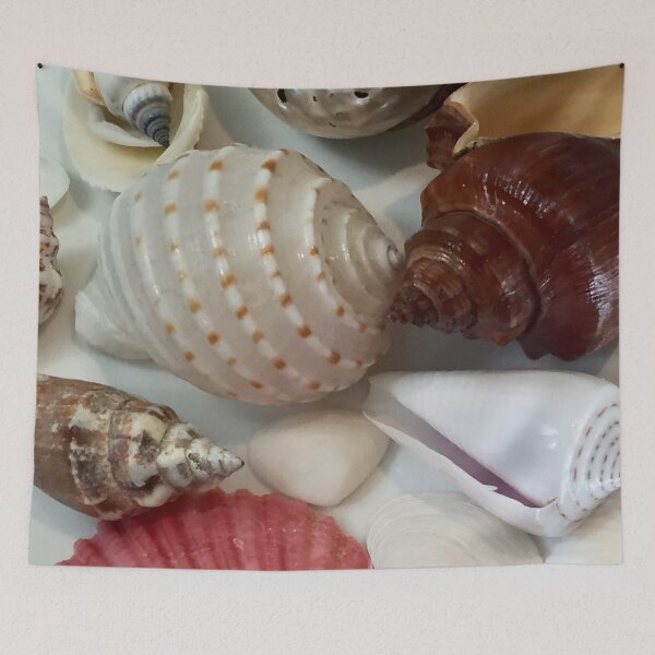 Item preview, Colorful Sea Shell Collection designed and sold by StudioKDesign.