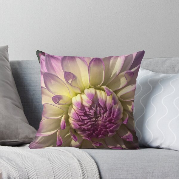 Item preview, Violet and White Dinner Plate Cactus Dahlia Flower in Bloom 080 designed and sold by Bees-n-Flowers.