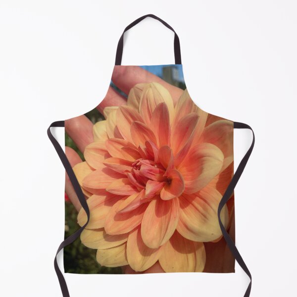 Item preview, Coral Orange Double Bloom Decorative Dahlia. Pink-flushed, Apricot to Light Orange Flower, flushed Yellow at the centre 081 designed and sold by Bees-n-Flowers.