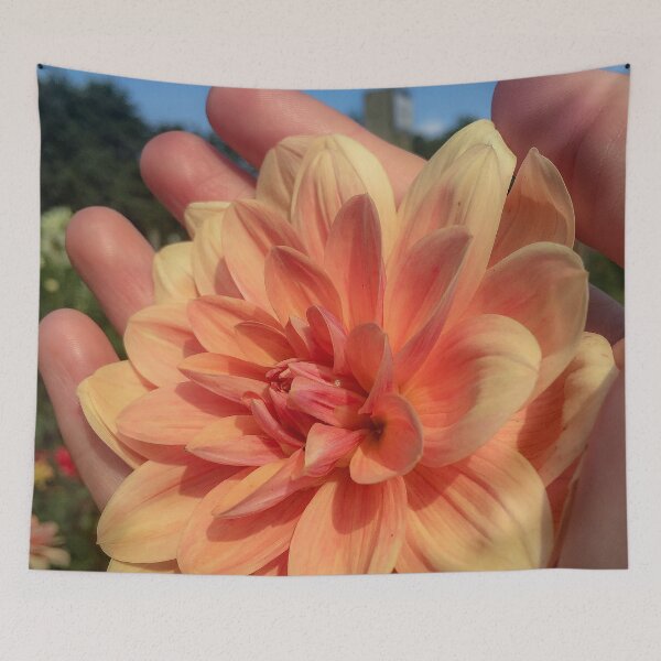Item preview, Coral Orange Double Bloom Decorative Dahlia. Pink-flushed, Apricot to Light Orange Flower, flushed Yellow at the centre 081 designed and sold by Bees-n-Flowers.