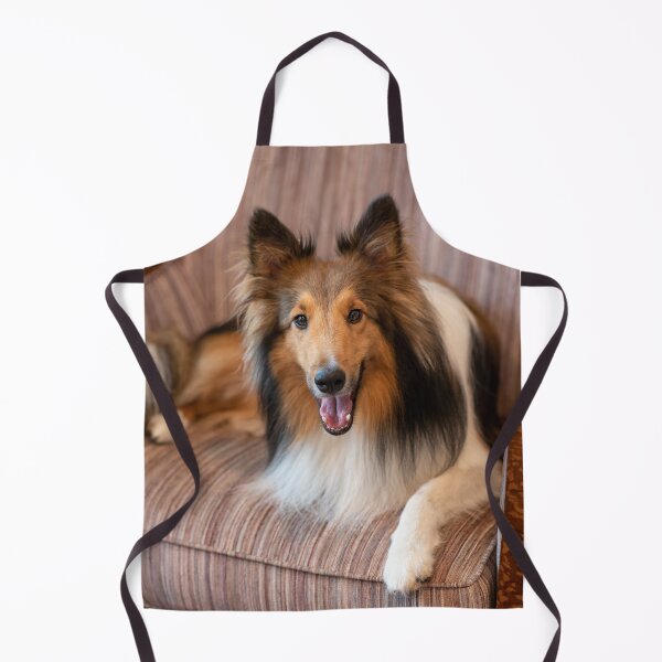 Item preview, Cute Sheltie dog resting designed and sold by flamendes.